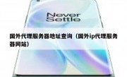 国外代理服务器地址查询（国外ip代理服务器网站）