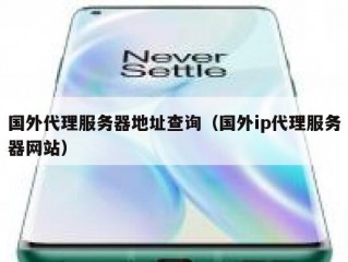 国外代理服务器地址查询（国外ip代理服务器网站）