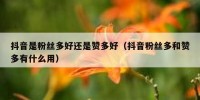 抖音是粉丝多好还是赞多好（抖音粉丝多和赞多有什么用）