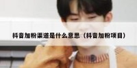 抖音加粉渠道是什么意思（抖音加粉项目）