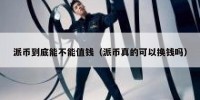 派币到底能不能值钱（派币真的可以换钱吗）