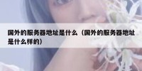 国外的服务器地址是什么（国外的服务器地址是什么样的）