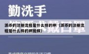派币的注册流程是什么样的啊（派币的注册流程是什么样的啊视频）