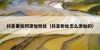 抖音里如何添加粉丝（抖音粉丝怎么添加的）