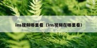 ins视频哪里看（ins视频在哪里看）