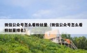 微信公众号怎么看粉丝量（微信公众号怎么看粉丝量排名）