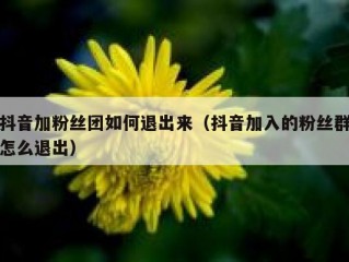 抖音加粉丝团如何退出来（抖音加入的粉丝群怎么退出）