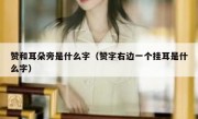 赞和耳朵旁是什么字（赞字右边一个挂耳是什么字）