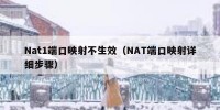 Nat1端口映射不生效（NAT端口映射详细步骤）