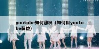 youtube如何涨粉（如何用youtube获益）