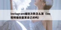 instagram播放次数怎么算（ins视频播放量算自己的吗）