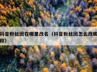 抖音粉丝团在哪里改名（抖音粉丝团怎么改昵称）