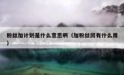 粉丝加计划是什么意思啊（加粉丝团有什么用）
