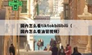 国内怎么看tiktokbilibili（国内怎么看油管视频）