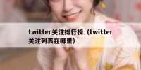 twitter关注排行榜（twitter关注列表在哪里）