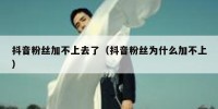 抖音粉丝加不上去了（抖音粉丝为什么加不上）