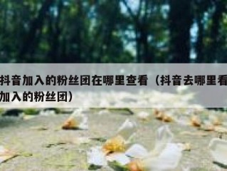 抖音加入的粉丝团在哪里查看（抖音去哪里看加入的粉丝团）