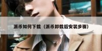 派币如何下载（派币卸载后安装步骤）