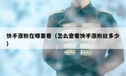 快手涨粉在哪里看（怎么查看快手涨粉丝多少）