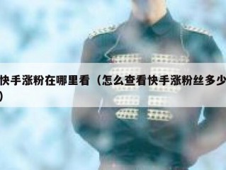 快手涨粉在哪里看（怎么查看快手涨粉丝多少）