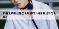 抖音上的粉丝是怎么加的呀（抖音粉丝号怎么加）