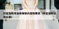抖音加粉项目有哪些内容和要求（抖音加粉丝怎么搞）