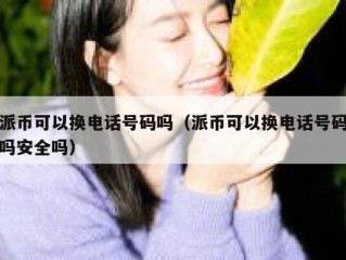 派币可以换电话号码吗（派币可以换电话号码吗安全吗）