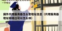 国外代理服务器怎么查地址信息（代理服务器地址和端口可以怎么填）