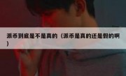 派币到底是不是真的（派币是真的还是假的啊）