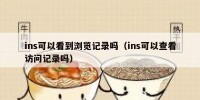 ins可以看到浏览记录吗（ins可以查看访问记录吗）