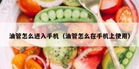 油管怎么进入手机（油管怎么在手机上使用）