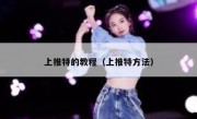 上推特的教程（上推特方法）