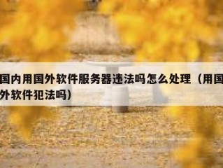 国内用国外软件服务器违法吗怎么处理（用国外软件犯法吗）