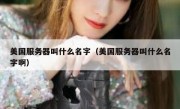 美国服务器叫什么名字（美国服务器叫什么名字啊）