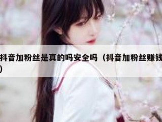 抖音加粉丝是真的吗安全吗（抖音加粉丝赚钱）
