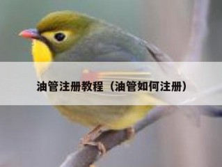 油管注册教程（油管如何注册）