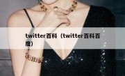 twitter百科（twitter百科百度）