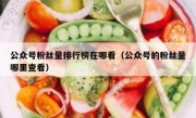 公众号粉丝量排行榜在哪看（公众号的粉丝量哪里查看）