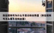 微信视频号为什么不显示粉丝数量（微信视频号怎么看不见粉丝量）