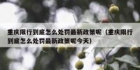重庆限行到底怎么处罚最新政策呢（重庆限行到底怎么处罚最新政策呢今天）
