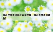 派币注册流程图片大全视频（派币怎样注册钱包）