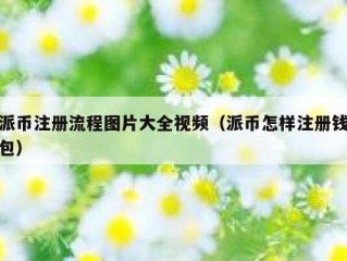 派币注册流程图片大全视频（派币怎样注册钱包）