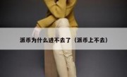 派币为什么进不去了（派币上不去）
