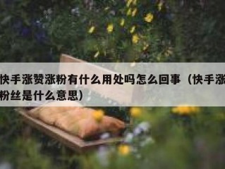 快手涨赞涨粉有什么用处吗怎么回事（快手涨粉丝是什么意思）