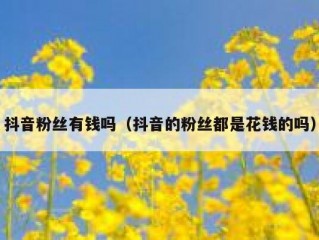 抖音粉丝有钱吗（抖音的粉丝都是花钱的吗）