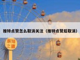 推特点赞怎么取消关注（推特点赞后取消）