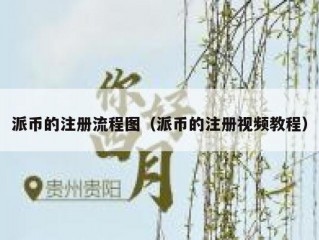 派币的注册流程图（派币的注册视频教程）