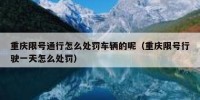 重庆限号通行怎么处罚车辆的呢（重庆限号行驶一天怎么处罚）