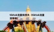 tiktok流量扶持大（tiktok流量池等级）