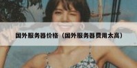 国外服务器价格（国外服务器费用太高）